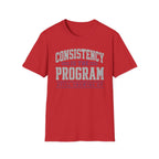 Consistency Is The Program