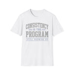 Consistency Is The Program