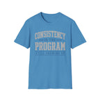 Consistency Is The Program